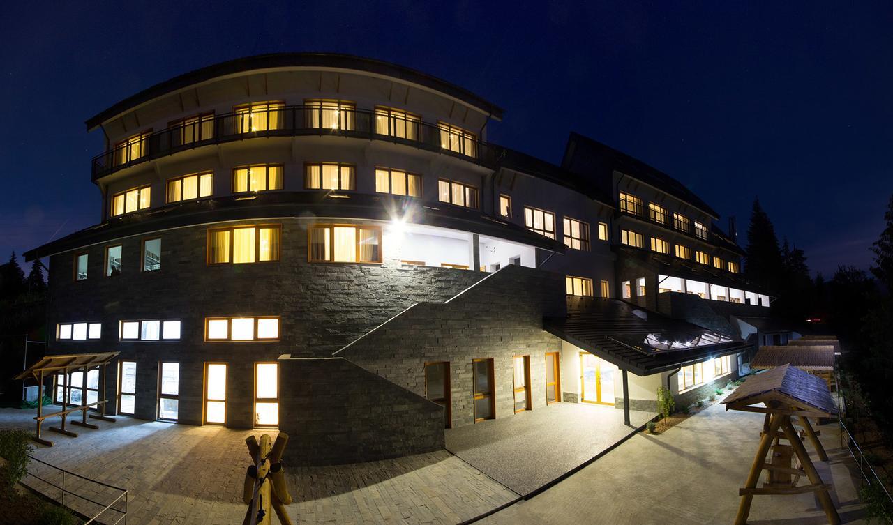 Pensiunea Art 1000 Lunca Visagului Exterior foto